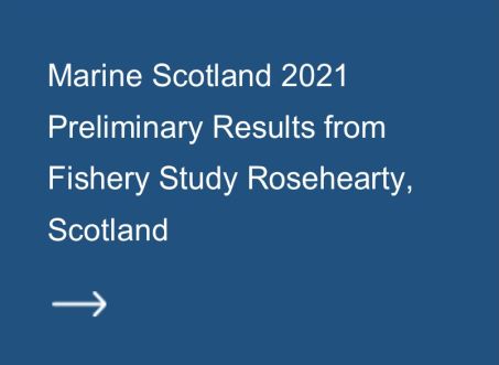 Marine Scotland: Fishery Summary Report for Rosehearty