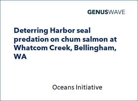 Deterring Harbor seal predation on chum salmon at Whatcom Creek, Bellingham, WA