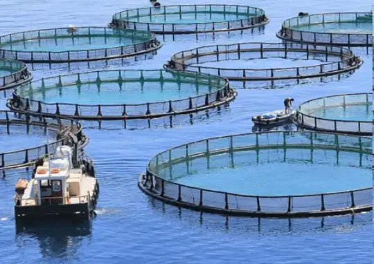 Aquaculture