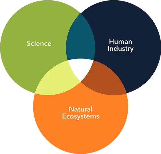 <h2>We’re a <strong>value driven </strong>organization</h2>
